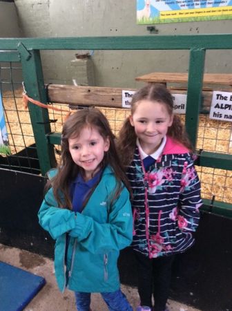 Streamvale Farm