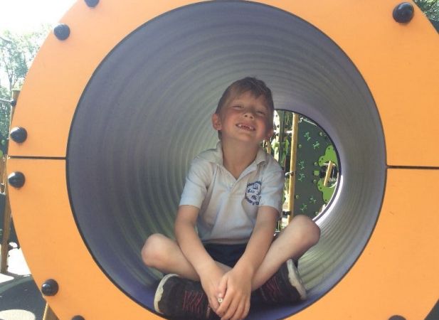 Winning ‘House’ Hamiltonsbawn Enjoy Treat at Palace Stables Park
