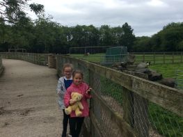 Our Trip to Tannaghmore Gardens