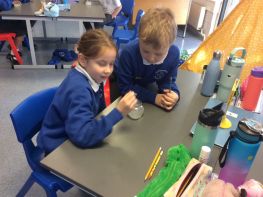 Water experiment in Primary 4