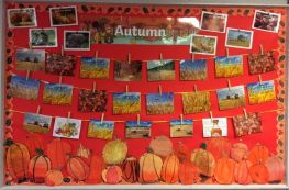 Autumn in Primary 5 🍁🍎